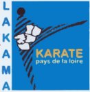 Site internet ligue Pays de Loire